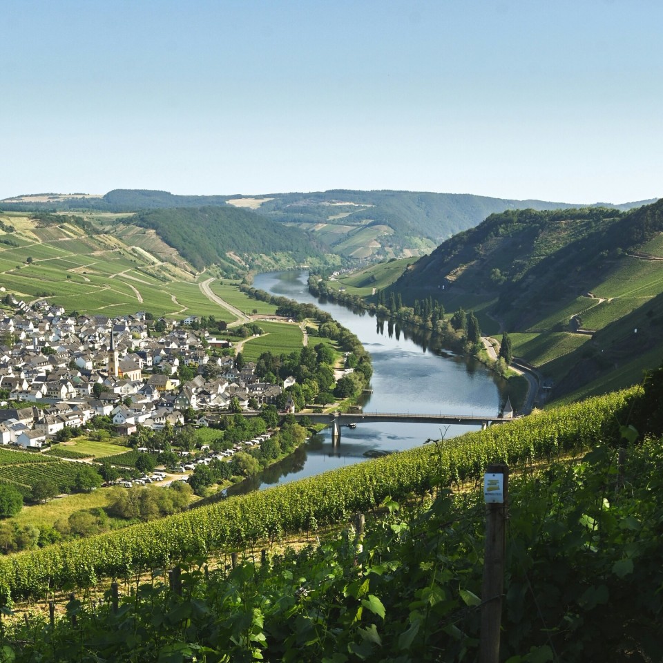 Mosel-Camino