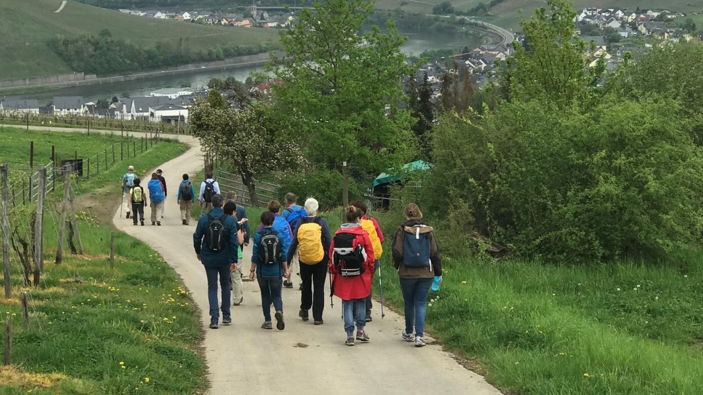 Pilgern auf dem Mosel-Camino